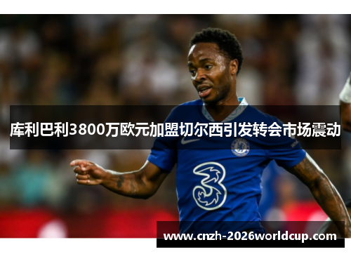 库利巴利3800万欧元加盟切尔西引发转会市场震动